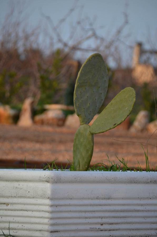 Masseria Poli Country House Конверсано Екстериор снимка