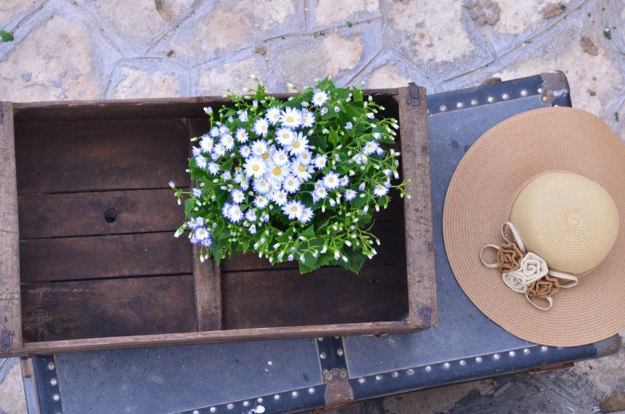 Masseria Poli Country House Конверсано Екстериор снимка